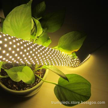 DC12v 120LEDs/m warm white SMD3528 smd light strip